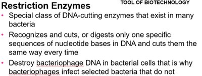 Restriction enzymes in biotechnology