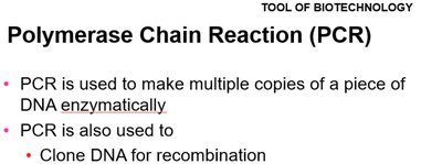 PCR uses and applications