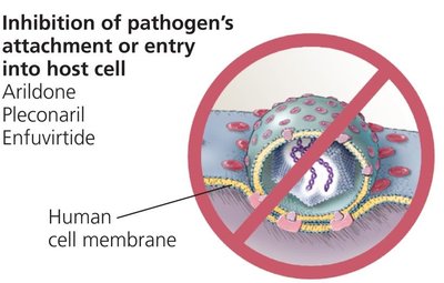 Inhibition of pathogen attachment or entry into host cell
