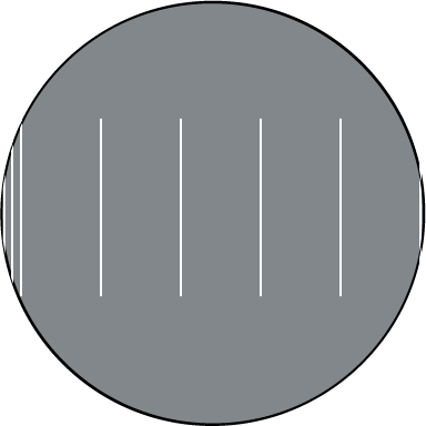 Field diameter estimation using stage micrometer