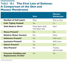 Table comparing skin and mucous membranes