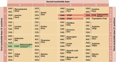 Genetic code table