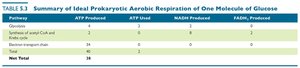 Summary table of prokaryotic aerobic respiration