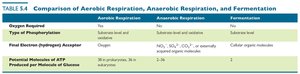 Comparison table of aerobic respiration, anaerobic respiration, and fermentation