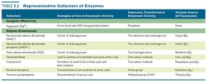 Table of representative cofactors of enzymes