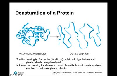 Competitive and non-competitive enzyme inhibition
