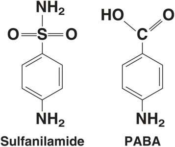 Sulfanilamide and PABA structures (competitive inhibition)