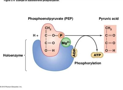 Oxidation-reduction reaction diagram