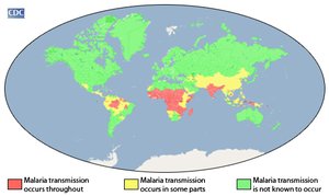 Global malaria distribution map