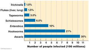 Helminth chart