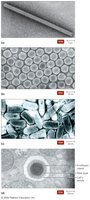 Shapes of virions: helical, polyhedral, complex