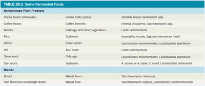Table of fermented plant products and breads