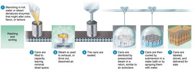 Steps in the commercial sterilization process in industrial canning