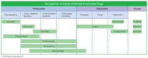 Spectrum of activity of selected antimicrobial drugs