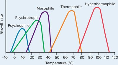 Temperature ranges for microbial growth