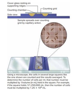 Microscopic counting chamber