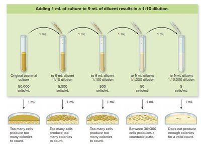 Dilution and plate count method