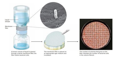 Membrane filtration for cell counting