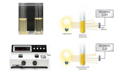 Spectrophotometer measuring turbidity
