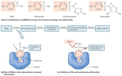 Sulfonamides inhibiting folic acid synthesis