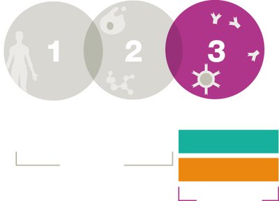 Three lines of immune defense diagram