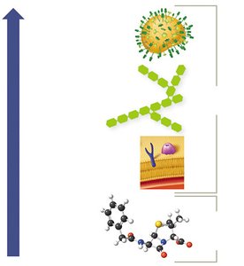 Immunogenicity of different antigen types