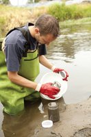 Environmental microbiology fieldwork