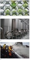Industrial fermentation tanks
