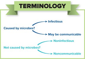 Terminology flowchart: infectious, communicable, noninfectious, noncommunicable