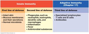Table comparing innate and adaptive immunity
