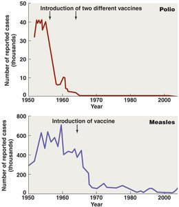 Effect of immunization in reducing prevalence of disease