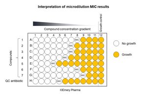 Microdilution MIC results interpretation