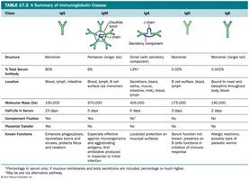 Summary of Immunoglobulin Classes