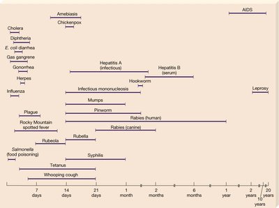 Graph showing stages of infectious disease progression