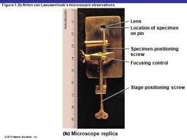 Replica of Leeuwenhoek's microscope