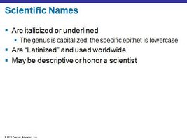 Slide explaining scientific names