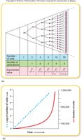 Bacterial growth curve and exponential growth diagram