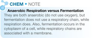 Aerobic vs anaerobic respiration