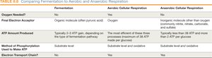 Fermentation vs cellular respiration