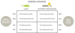 Metabolic classification table