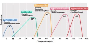 Growth temperature ranges for different microbial groups