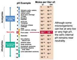 pH scale with examples of acidophiles, neutrophiles, and alkaliphiles