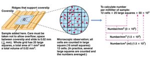 Microscopic cell counting using a counting chamber