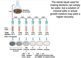 Serial dilution and plate count method