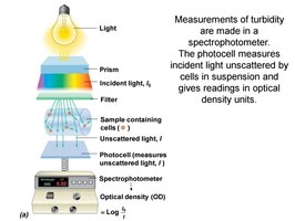 Spectrophotometer setup for measuring turbidity