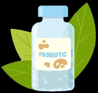 Probiotic supplement bottle