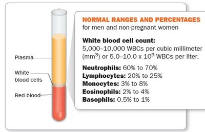 Test tube showing blood layers and normal WBC percentages