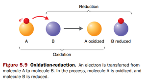 Oxidation-reduction diagram