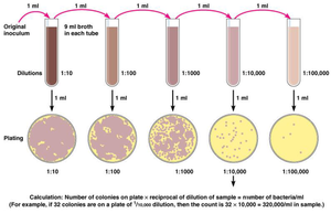 Serial dilution and plate count method