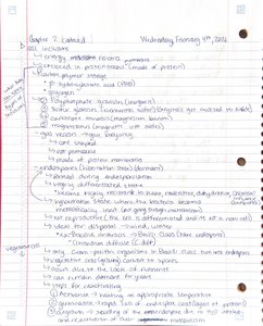 Handwritten notes on cellular inclusions and endospores